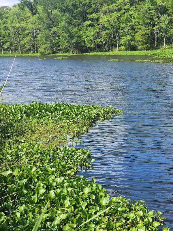 Atchafalaya National Heritage Area - Bayou Teche - Image 3