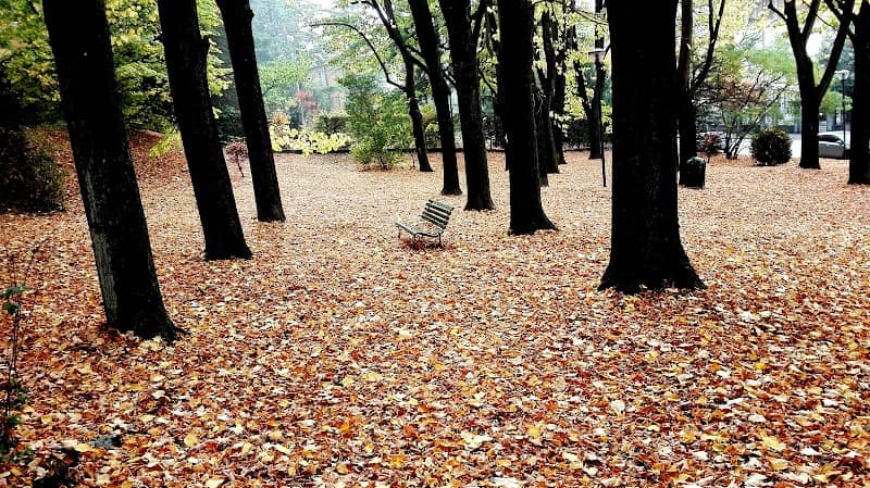 Parco comunale - Image 2
