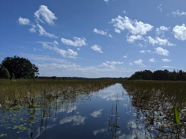 Cedar Hill Landing Park - Image 1