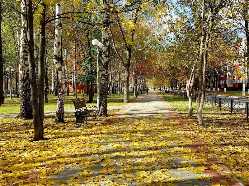 Park Im. G. Tukaya - Image 1