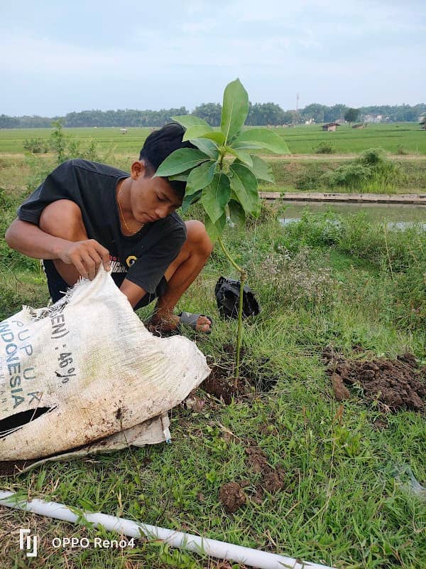 AGRO WISATA BUAH - Image 1