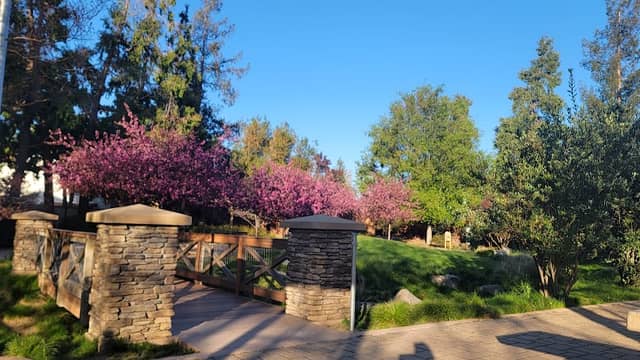 Stojanovich Family Park - Image 2