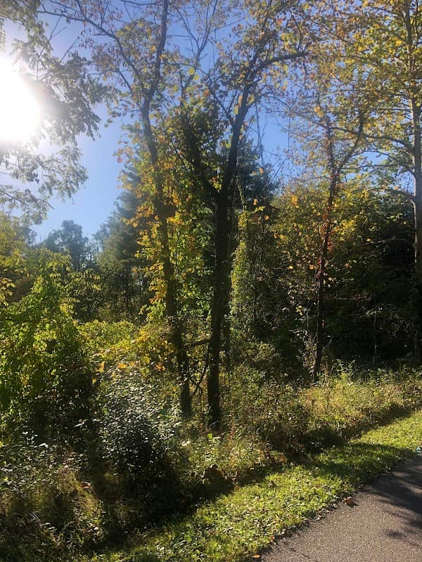 Bike and Hike Trailhead - Image 2