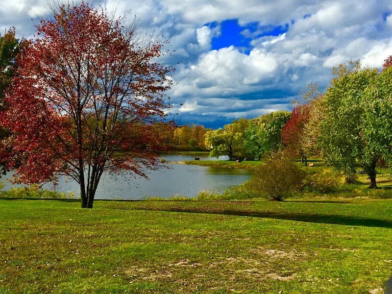Charles E. Sexton Memorial Park - Image 2
