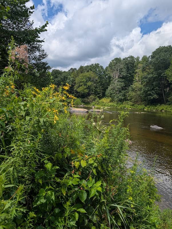 Outflow Recreation Area - Image 1