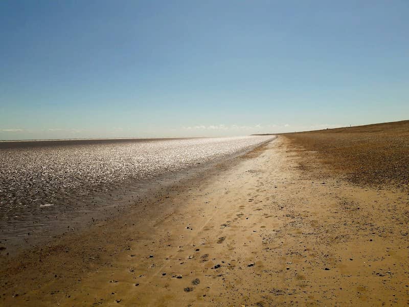 Greatstone Dunes Nature Reserve - Image 2