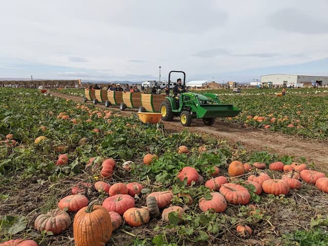 Middleton Farms - Image 1