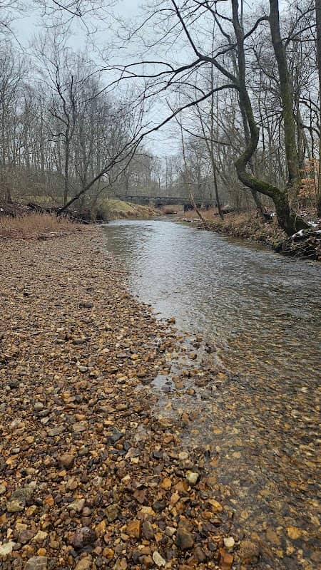 Cypress creek - Image 3