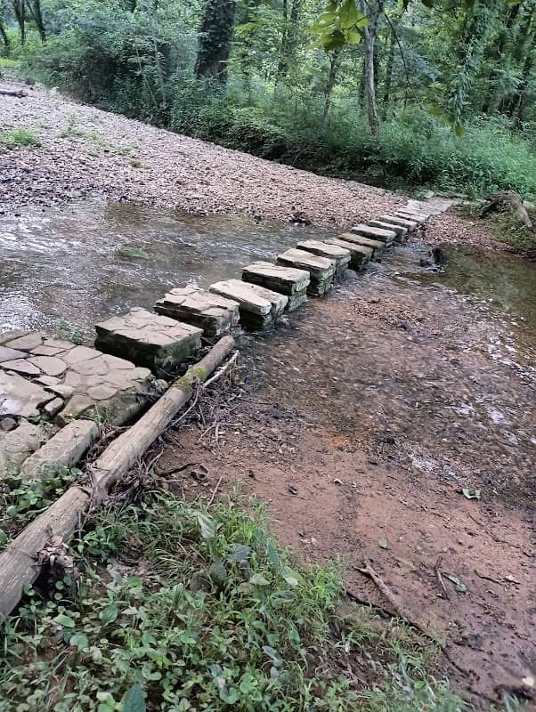 Cypress creek - Image 2