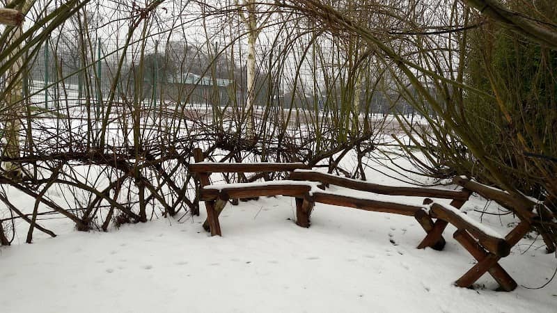 Leamore Park Storytelling and Discovery Garden - Image 3
