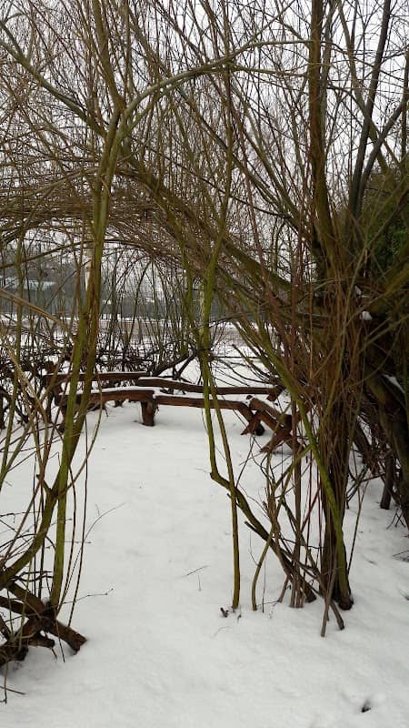 Leamore Park Storytelling and Discovery Garden - Image 2