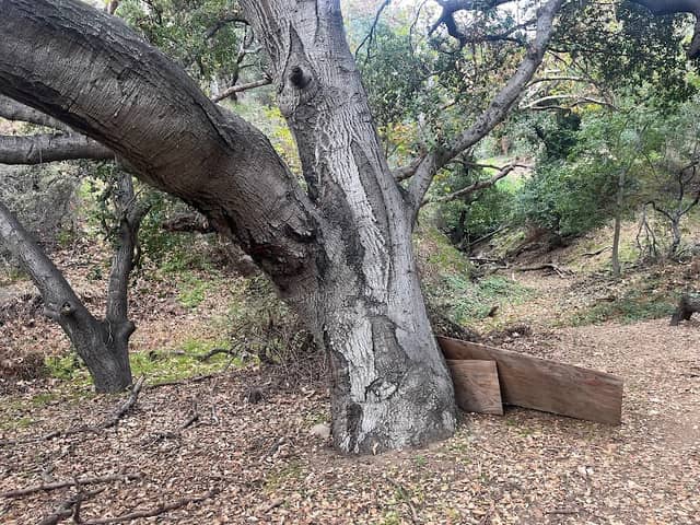Cottonwood Canyon Preserve - Image 1