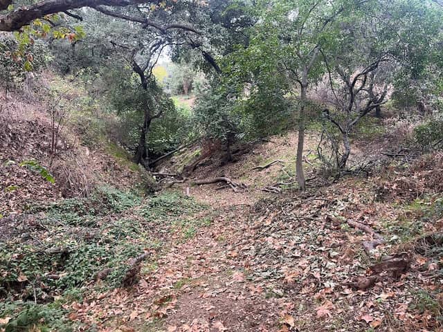 Cottonwood Canyon Preserve - Image 2