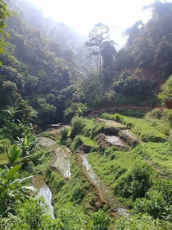 wisata cipeucang - Image 1