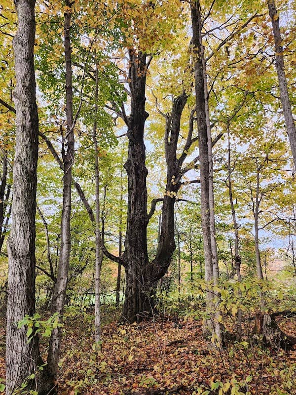 Hullett Provincial Wildlife Area - Blue Trail Access Point - Image 2