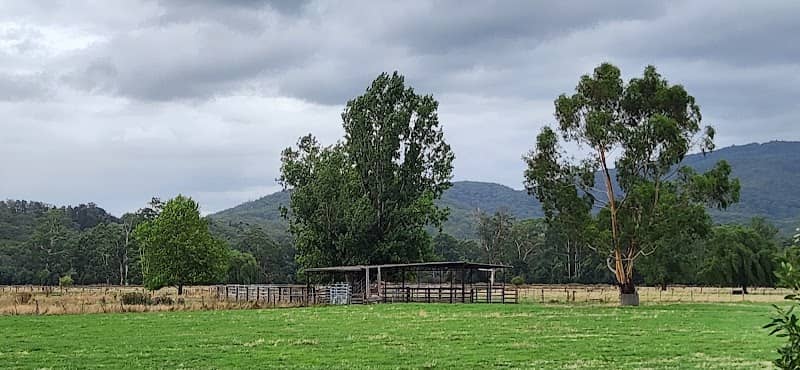Part of Lilydale - Warburton Rail Trail - Image 1