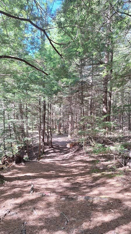 Summer Street Park - Image 1