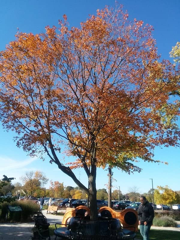 Kiwanis Park - Image 1