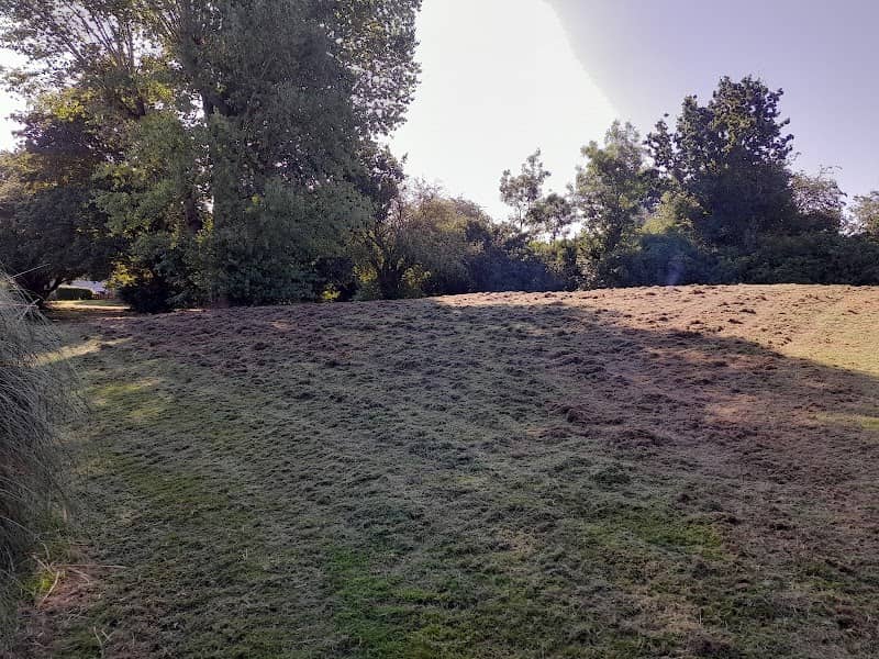 Raphaels Park, Basildon - Image 2