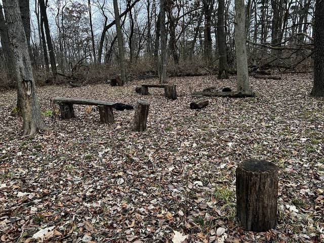 Sherman R Cook Memorial Scout Park (Cook Woods) - Image 1