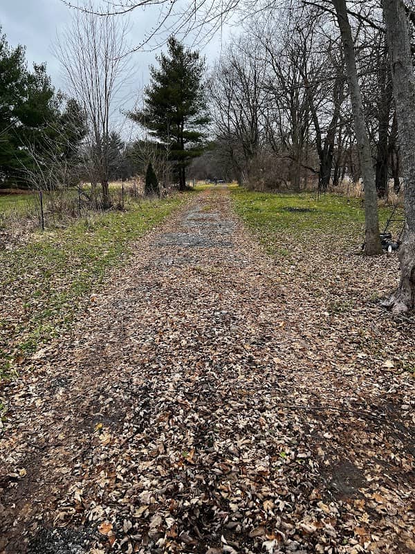 Sherman R Cook Memorial Scout Park (Cook Woods) - Image 3