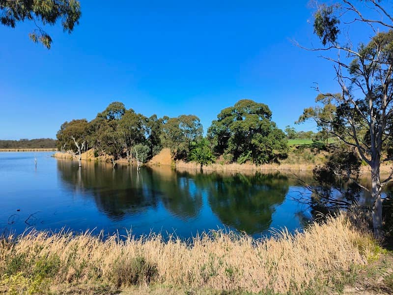 Tanunda Wetlands - Image 2