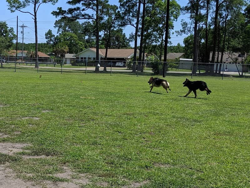 Popp’s Ferry Dog Park - Image 2