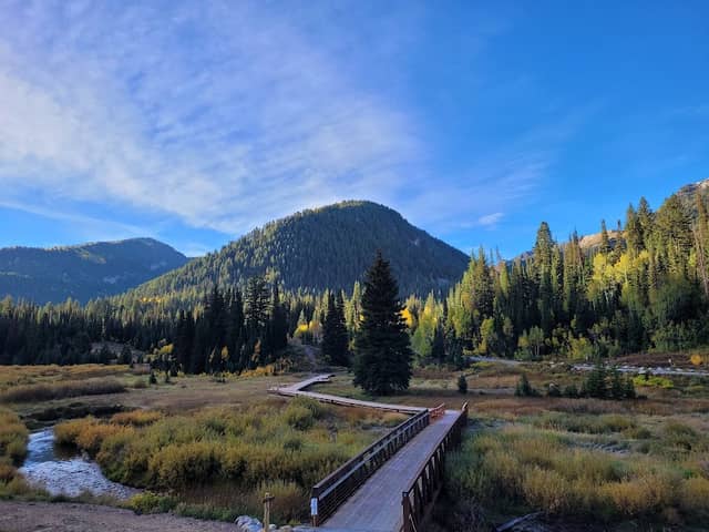 Jordan Pines Group Campground - Image 2