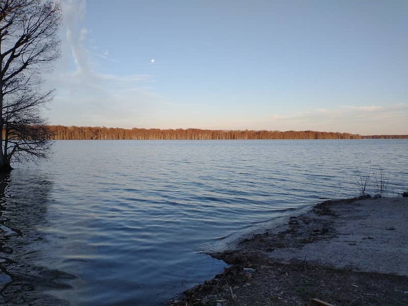 Reelfoot Lake Public Access - Image 1