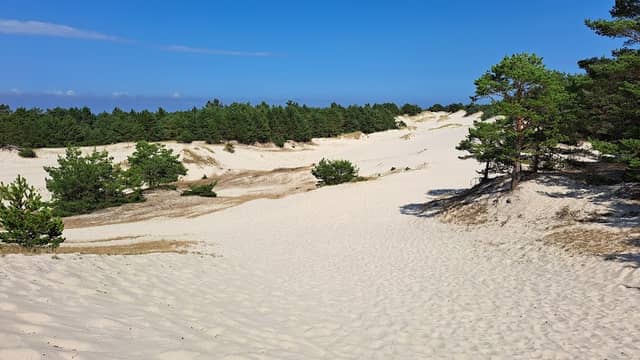 Lubiatowo Dune - Image 1