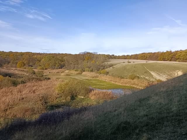 Giesener Teiche - Image 2