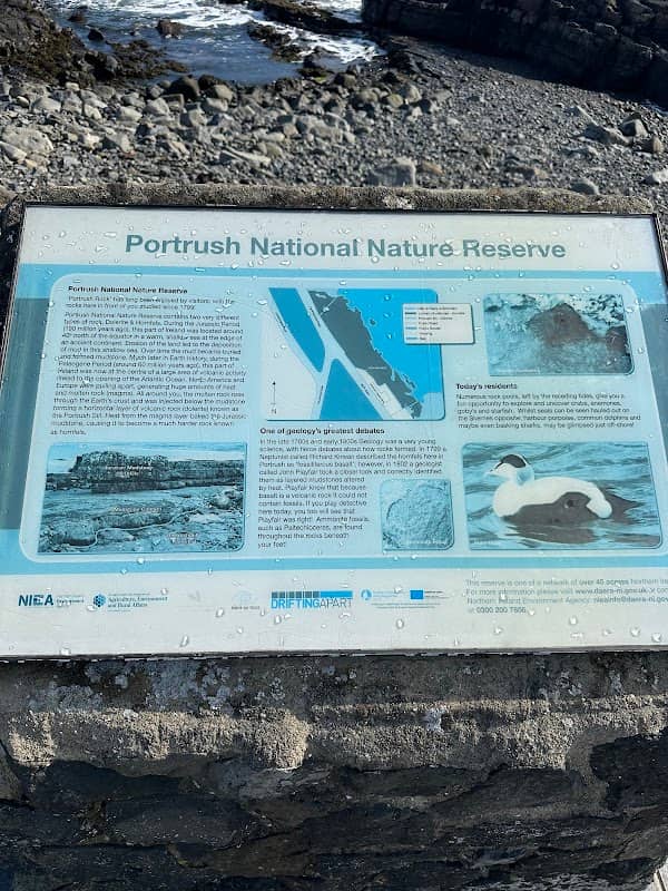 Portrush National Nature reserve - Image 1