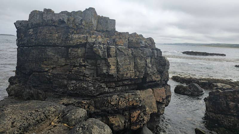 Portrush National Nature reserve - Image 2