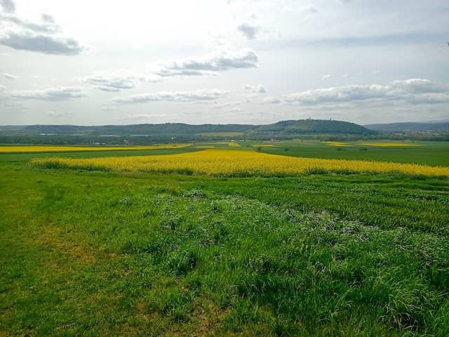 Mogiła Pamięci - Image 2