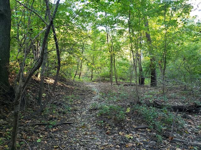 Baltimore Bend Conservation Area - Image 1