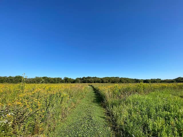South Branch Prairie - Image 2