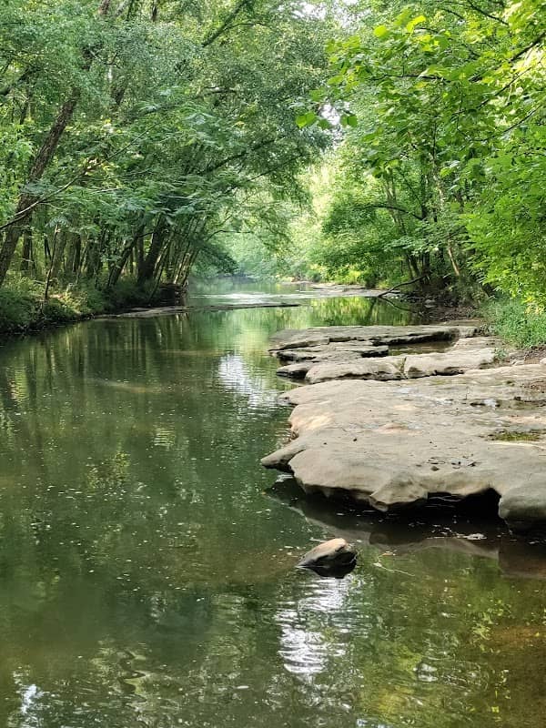 Swan Creek Park - Image 1
