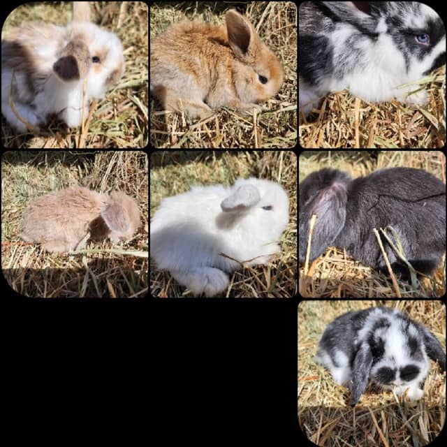 Badger State Farms LLC - Image 1