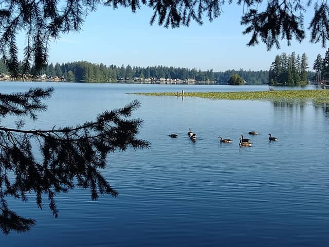 Lake Sawyer Access and Trails - Image 1