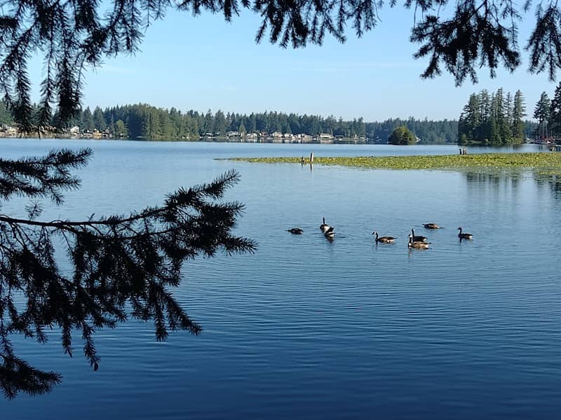 Lake Sawyer Access and Trails - Image 1