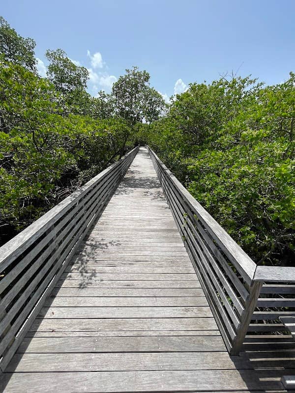 Ocean Ridge Natural Area - Image 2