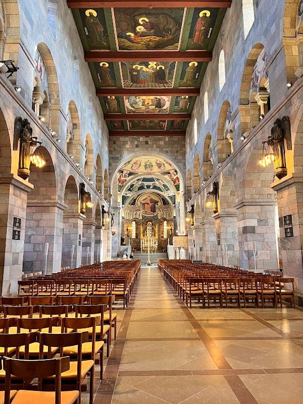 Viborg Cathedral - Image 3