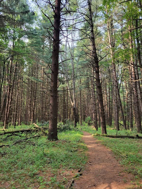 Beckwith Preserve - Image 1