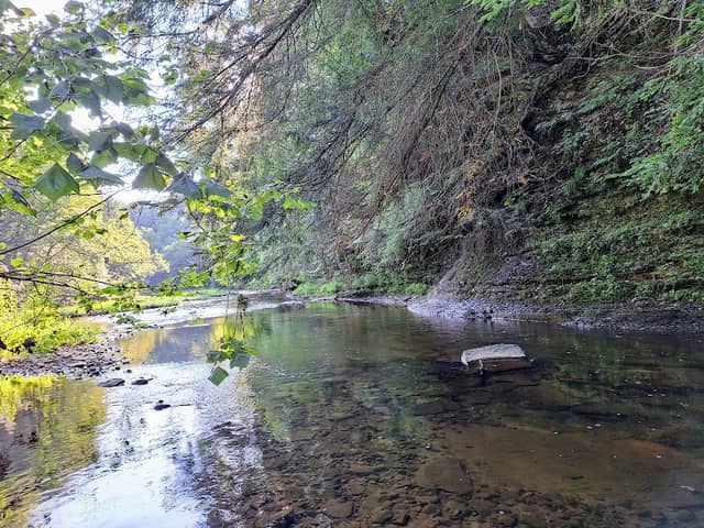 Wolf Creek Narrows Nature Preserve - Image 2