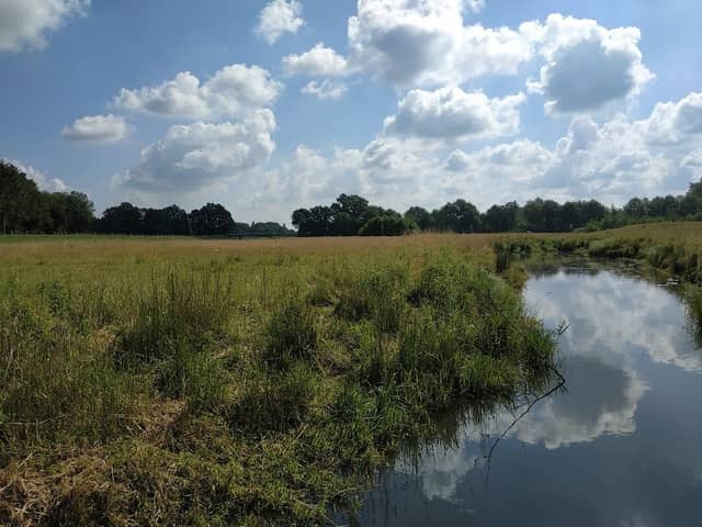 Aussichtsplattform Hasezusammenfluss - Image 1