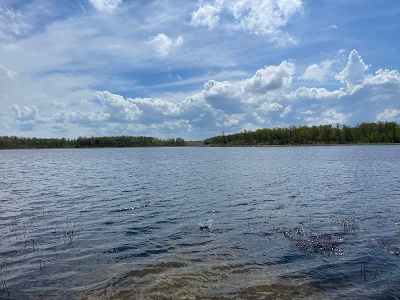 Homen State Forest - Image 1