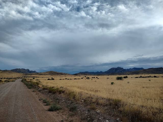 Mormon Mountains Wilderness - Image 3