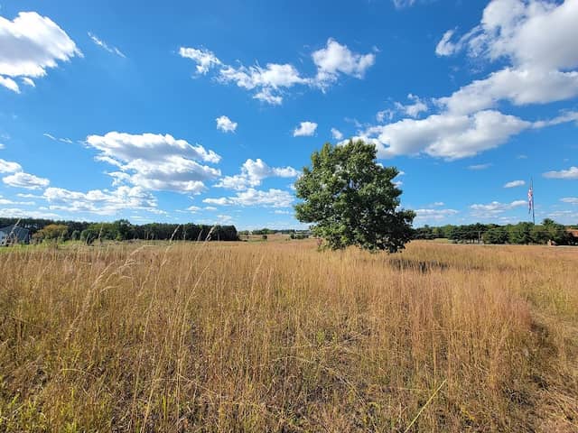 Moely Prairie - Image 2