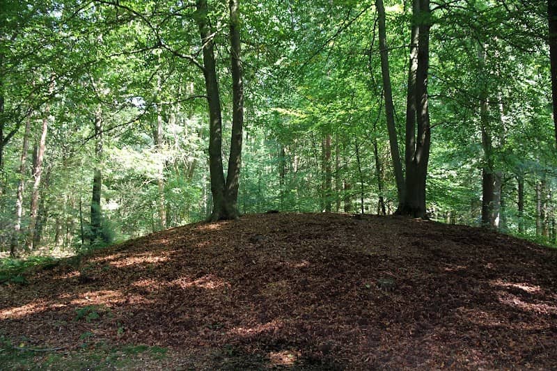 Putterbos - Image 2