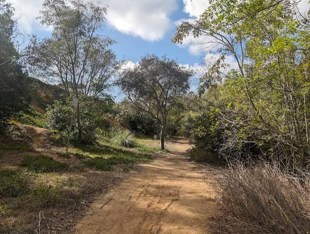 Canyon Park - Image 2